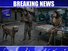 آوارہ کتے کے کاٹنے سے زخمی اورنگی ٹاؤن کیرہائشی 17 سالہ لڑکی دوران علاج انتقال کرگئی