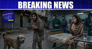 آوارہ کتے کے کاٹنے سے زخمی اورنگی ٹاؤن کیرہائشی 17 سالہ لڑکی دوران علاج انتقال کرگئی