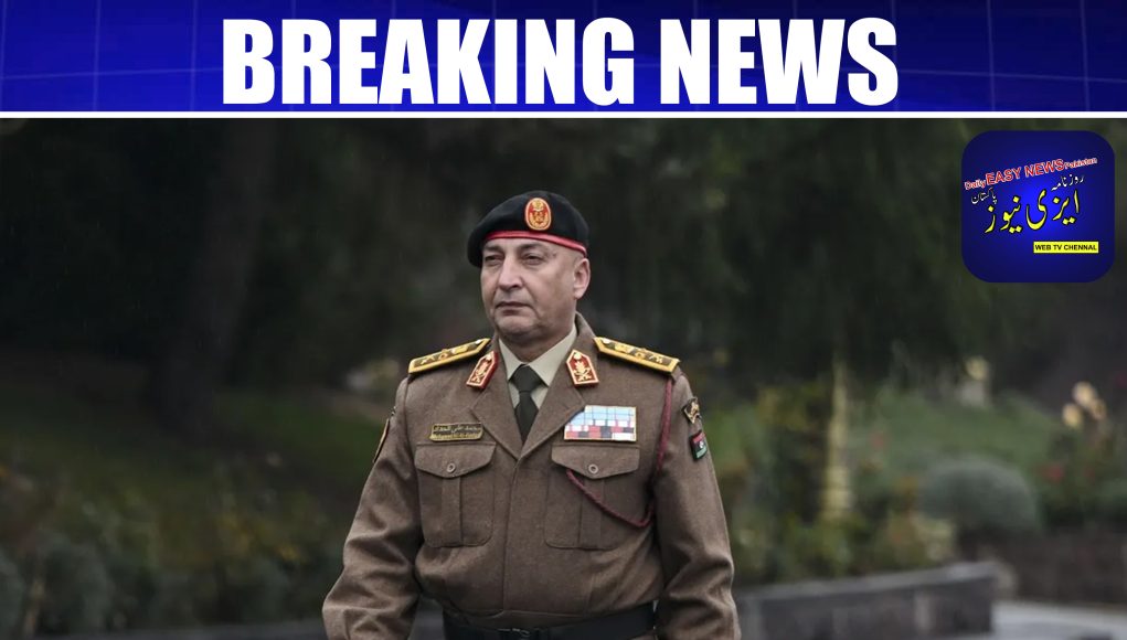 Libya’s army chief dies in plane crash in Turkey