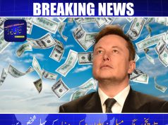 تاریخی سنگ میل: ایلون مسک 600 بلین ڈالر کی مجموعی مالیت کو عبور کرنے والے زمین پر پہلے شخص بن گئے