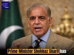 Prime Minister Shehbaz Sharif has ordered a 25% salary cut for all MNAs and MPAs.