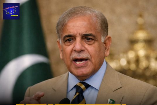Prime Minister Shehbaz Sharif has ordered a 25% salary cut for all MNAs and MPAs.