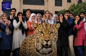 A leopard has once again been spotted at the campus of International Islamic University Islamabad, raising fresh safety concerns among students and staff.