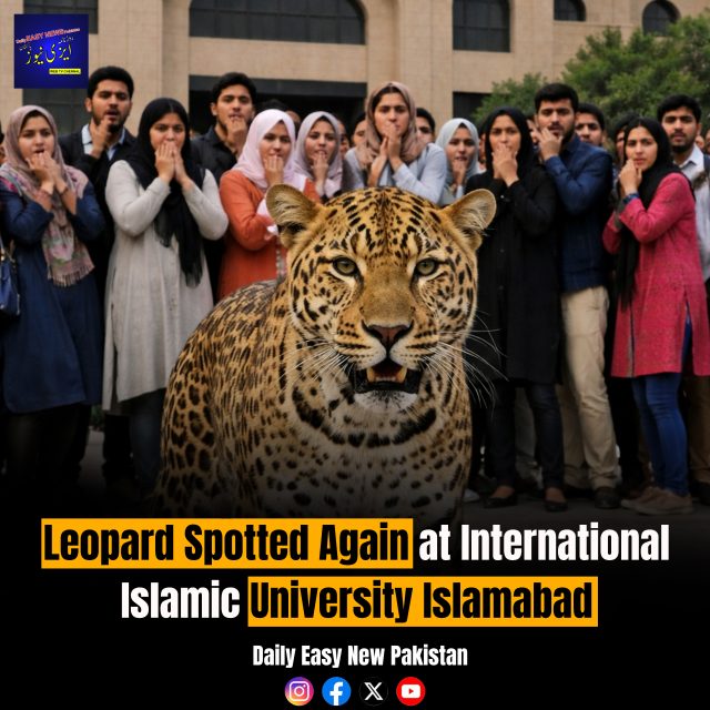 Final-Recovered-Recovered-Rec-Recovered